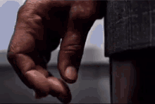 IMG_1425.gif
