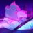 Shams_acc